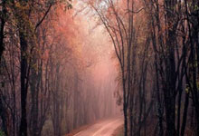 狗子28体育：0比8！太阳被横扫！快船季后赛杀神回归.